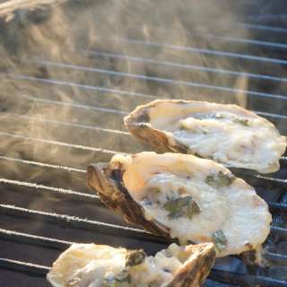 New Orleans Style Chargrilled Oysters