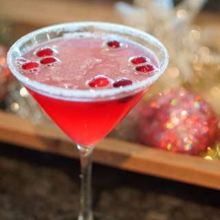 Cranberry Vodka Martini