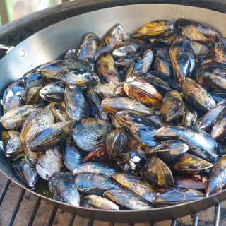 Wood Fired Croatian Mussels (Dagnje na Buzaru)