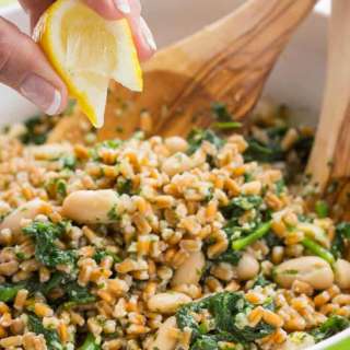 Farro, Cannellini Bean, Parsley Pesto Salad