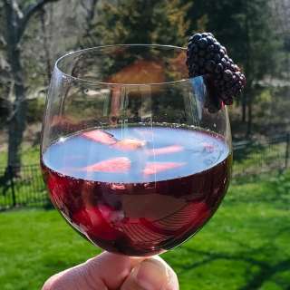 Spanish Blackberry Red Sangria