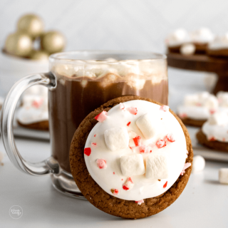 Best Hot Chocolate Cookies Recipe