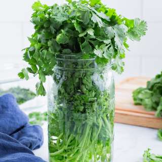 How to Store Cilantro (Whole or Chopped)
