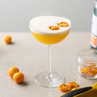 Vodka Sour