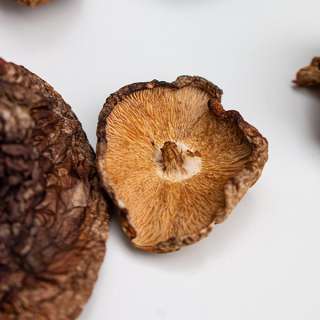 Dehydrating Mushrooms