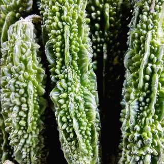 Crispy Bitter Melon Recipe