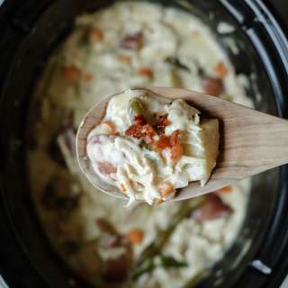 Slow Cooker Creamy Chicken Stew Recipe
