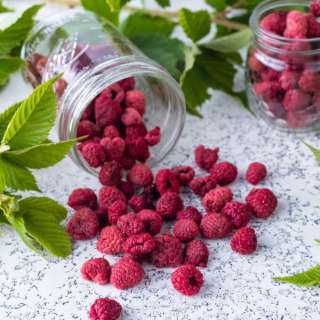 Dehydrating Raspberries