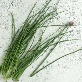 How to Preserve Chives | Store, Freeze, Dry