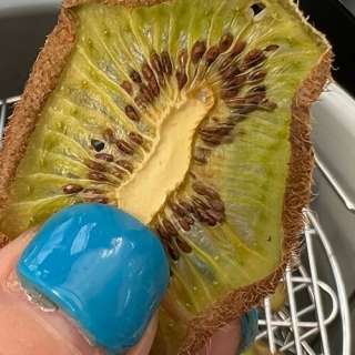 Dehydrated Kiwi Chips In Air Fryer