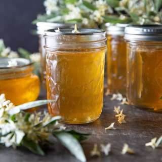 Honeysuckle Jelly | Autumn Olive Jelly