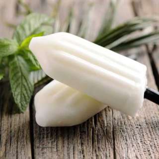 Blender Creamy Coconut Milk Popsicles