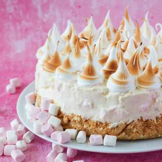 Easy Marshmallow fridge tart