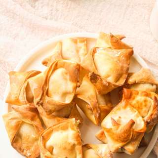 Air Fryer Wontons