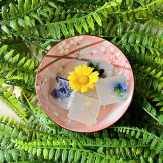 Agar Agar Jelly (2-ingredient)