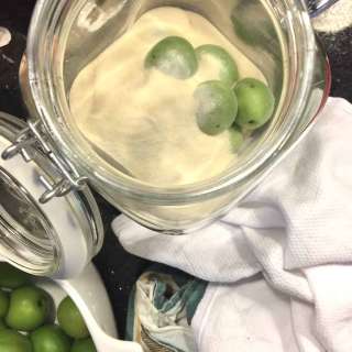 Maesil Cheong for Beginnners (Korean green plum syrup)