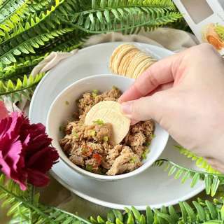 Curried Spicy Tuna Dip (4- ingredients)