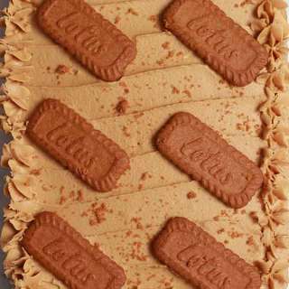 Biscoff Vegan Traybake Cake