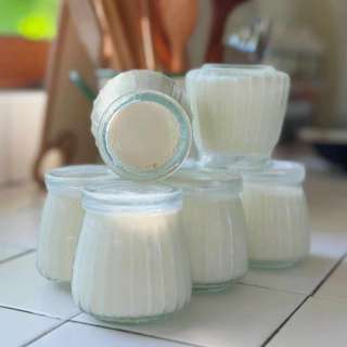 3-Ingredient Vietnamese Yogurt Recipe (Sữa Chua/Da Ua)