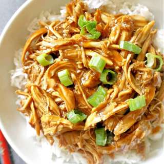 Crock Pot Teriyaki Chicken