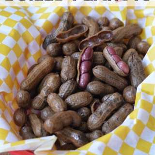 Slow Cooker Boiled Peanuts