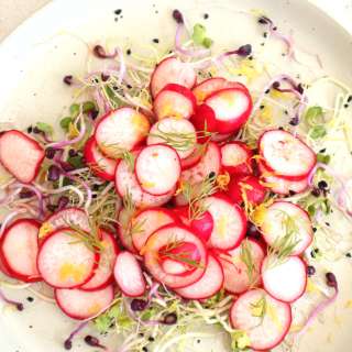 Radish salad with sprouts, lemon, dill and honey dressing