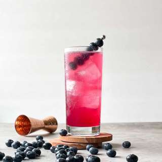 Blueberry Gin and Tonic