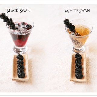White Swan & Black Swan