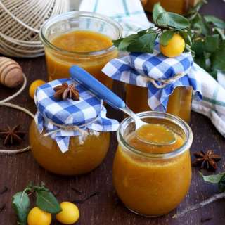 Sugar Free Wild Plum Jam