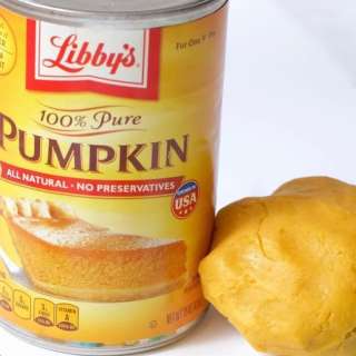 Edible Pumpkin Pie Slime