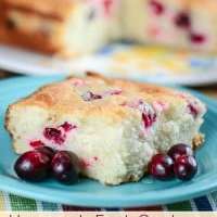 Homemade Fresh Cranberry Christmas Cake