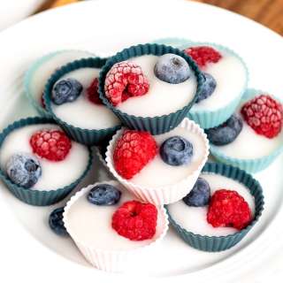 Berry Frozen Yogurt Bites