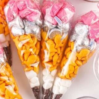 Pencil Treat Bags