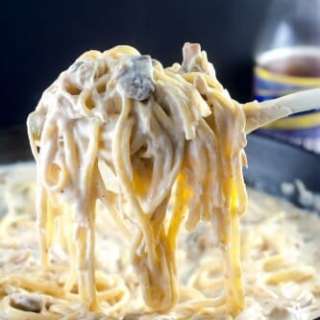 Chicken Tetrazzini with Asiago Cream Sauce