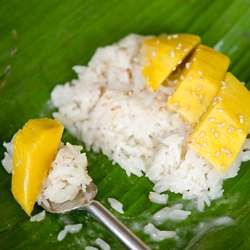 Mango Sticky Rice