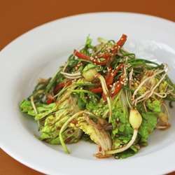 Korean Bomdong Cabbage Salad