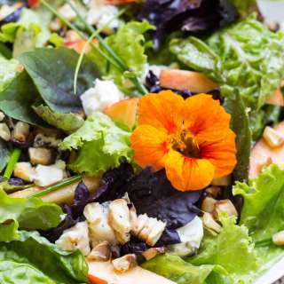 Grilled Corn Salad with Nectarines and Blue Cheese