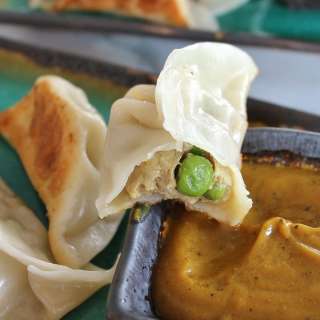 Japanese Curry Chicken Dumplings