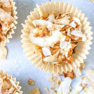 Cinnamon Spice Coconut Chips