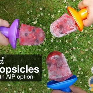 Superfood Berry Popsicles - Low Carb with AIP options