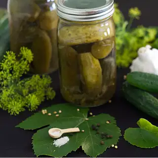 Recipe for Lacto Fermented Pickles