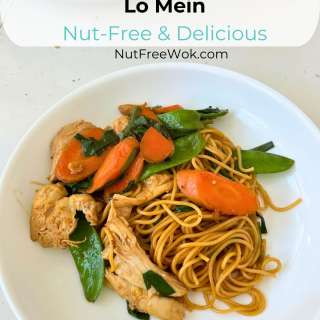 Chicken & Vegetable Lo Mein