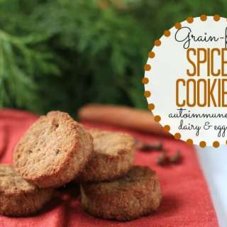 Grain-Free Spice Cookies - autoimmune paleo & vegan