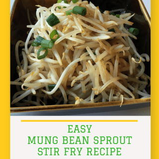 Easy Mung Bean Sprouts Stir-Fry Recipe