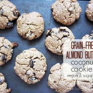 Grain-Free Almond Butter Coconut Cookies - vegan, paleo, and sugar free
