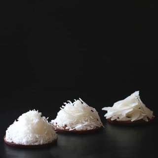 Homemade Coconut Shreds and Chips