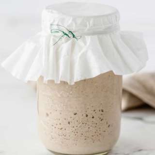 Gluten-Free Sourdough Starter