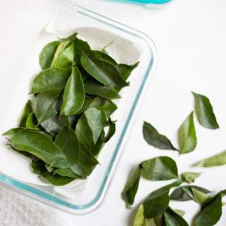 How to Store Curry Leaves