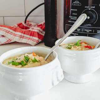ninja foodi chicken vegetable soup