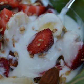 How to Make Fat Free Greek Yogurt